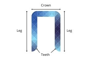 diagram of crown stapler