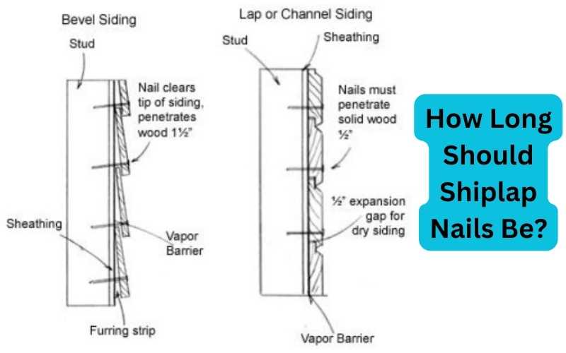 How Long Should Shiplap Nails Be