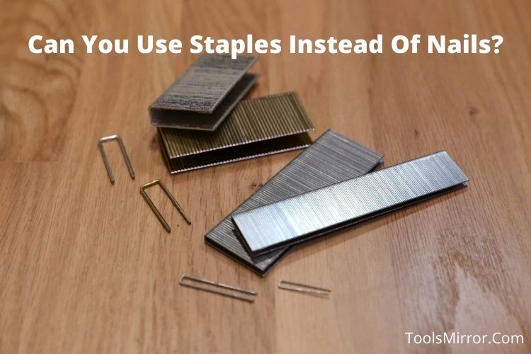 can-you-use-staples-instead-of-nails-best-practices-tools-mirror