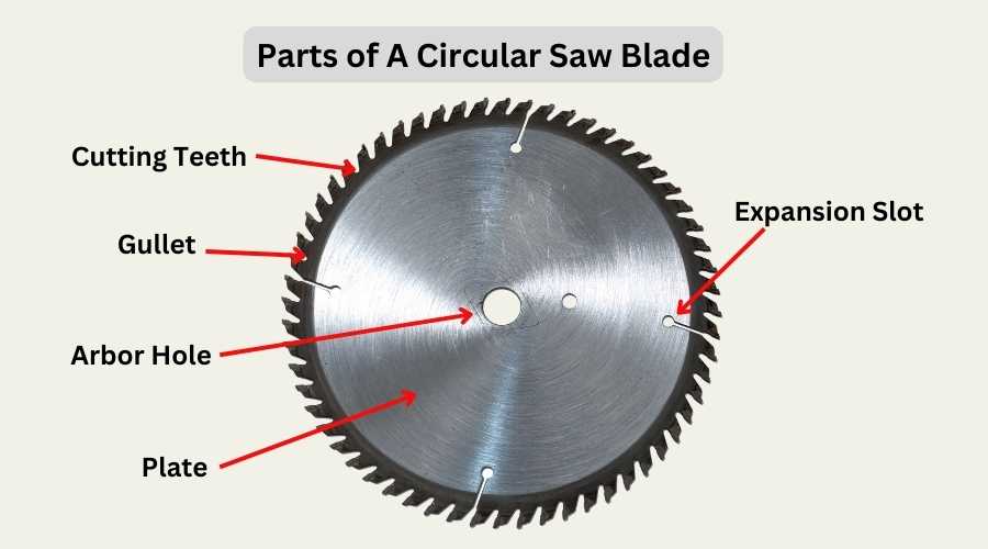 Parts of A Circular Saw Blade